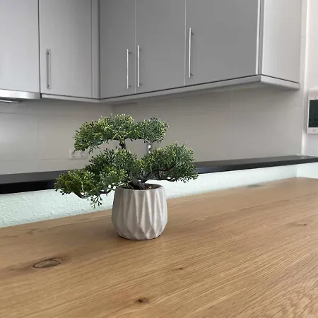 Apartment Solarium Con Terraza A 5 Minutos De La Playa *
